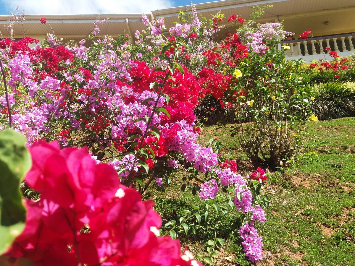 La Princesa Hotel San Isidro De El General Ngoại thất bức ảnh